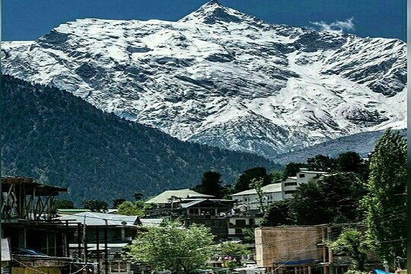 shimla to reckong peo cabs